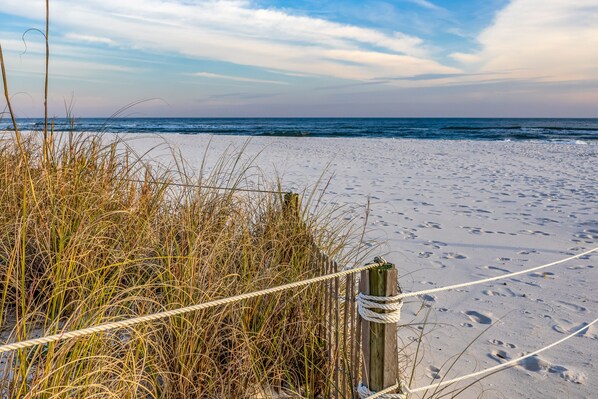 A sandy beach with tall grasses and a wooden fence.