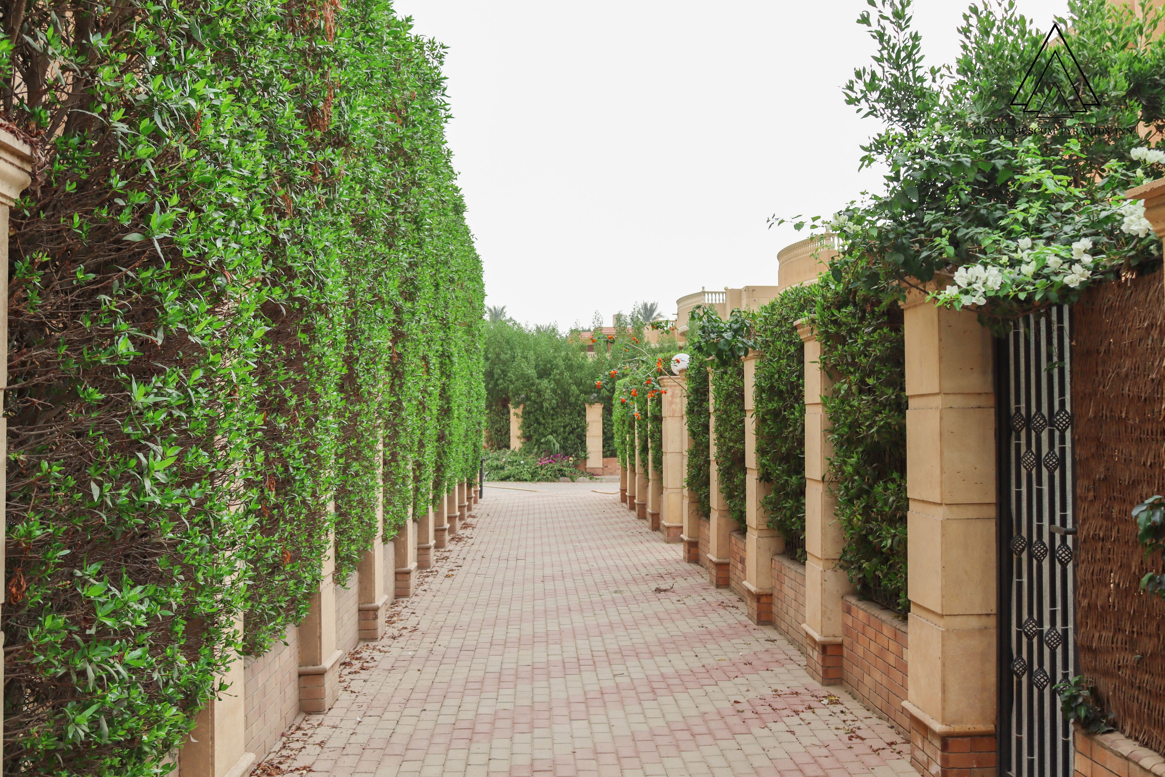 Foto - Grand Museum Pyramids Inn