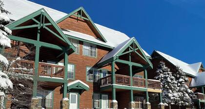 Ski-in/out, pet/kid-friendly, slope side townhouse