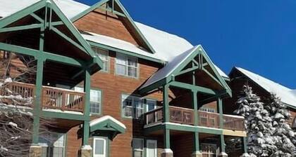 Ski-in/out, pet/kid-friendly, slope side townhouse