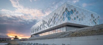 Uniek boomstamhuis voor 6 pers. met terras en vrij uitzicht nabij Waddenzee
