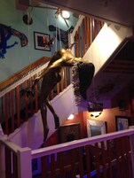 Televisión de pantalla plana, servicios de streaming