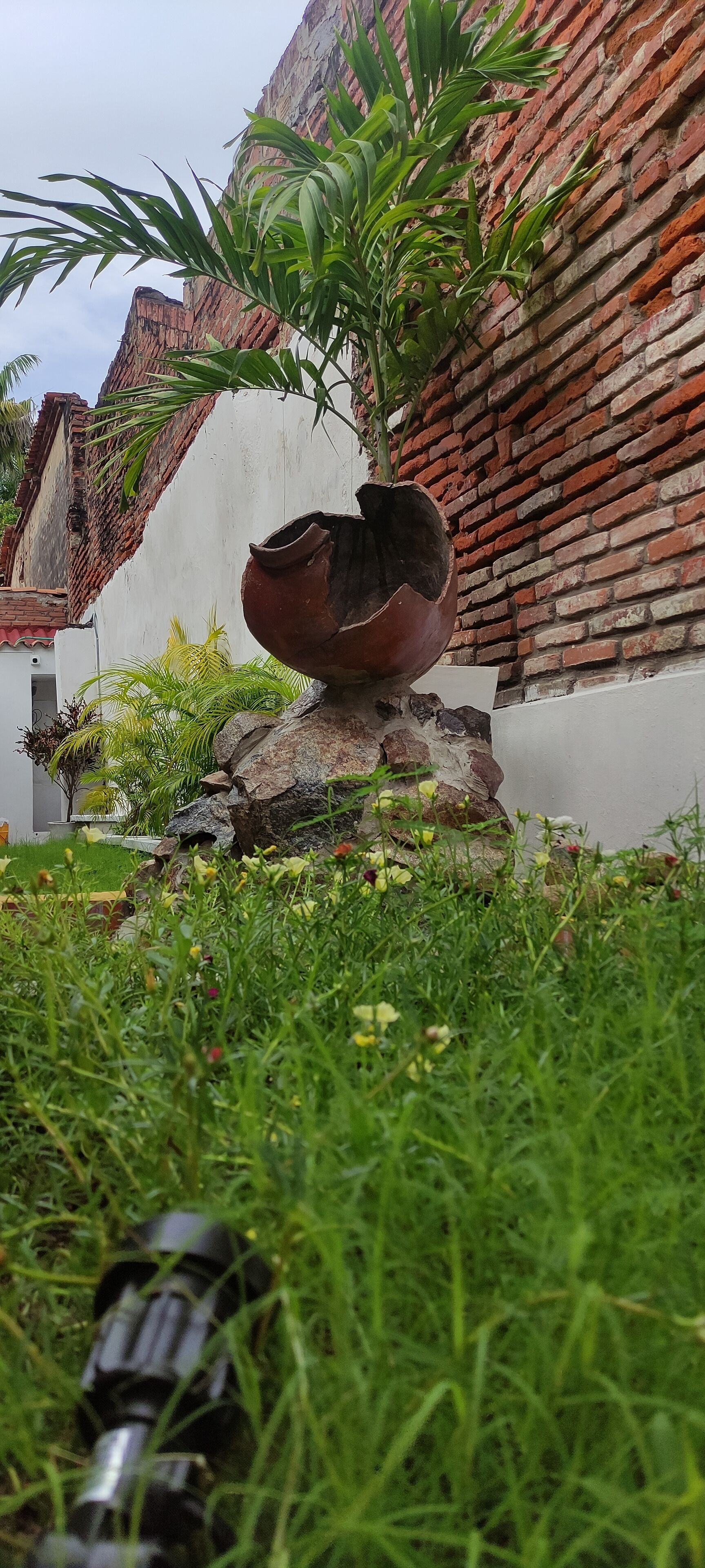 A garden with a large clay pot on a rock, surrounded by greenery and a brick wall.