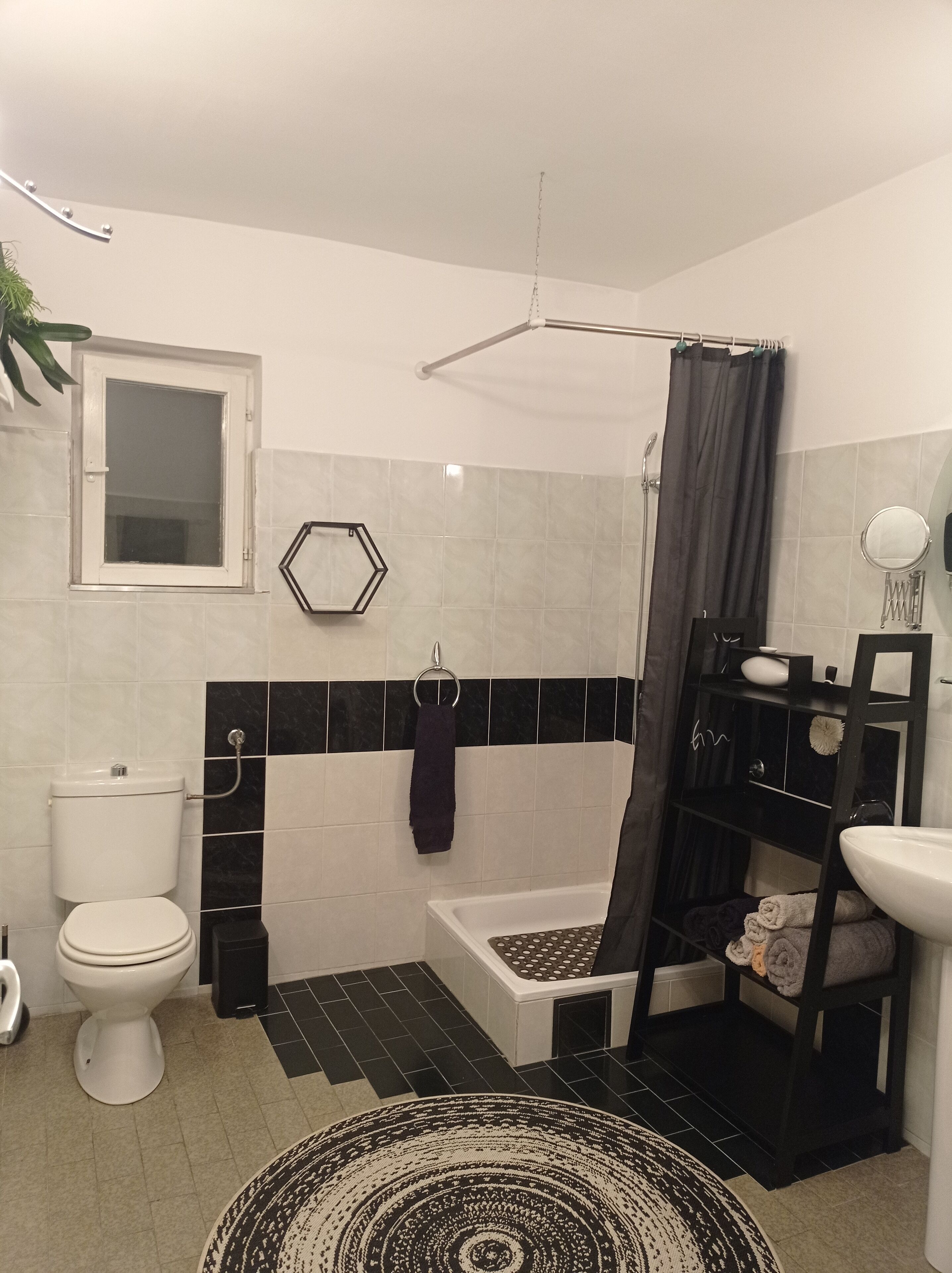 Shower, hair dryer, soap, toilet paper