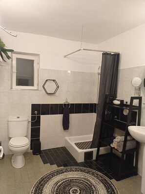 Shower, hair dryer, soap, toilet paper - Modern duplex with amazing view (Beograd)