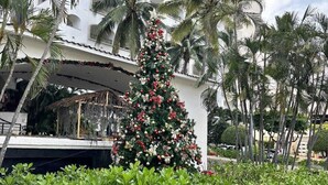 A hotel with a large Christmas tree decorated with ornaments and lights, surrounded by lush greenery and palm trees. - Habitación Estándar vista Mar Enna Inn (Ixtapa)