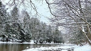 En flod omgiven av snötäckta träd.