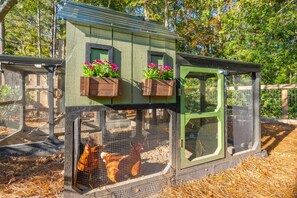 A chicken coop with a green door and windows, surrounded by a wire mesh fence. - Coastal Retreat-4B/2B 9ppl 3 mi to IOP fenced yard (Mount Pleasant)
