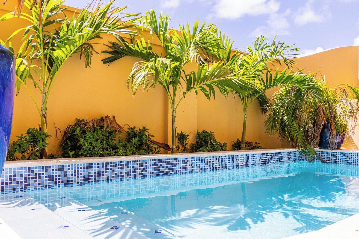 A swimming pool with blue mosaic tiles, surrounded by lush greenery and a yellow wall.