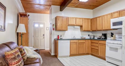 Outpost: Town Square Lodge 12 - Close to Town Square