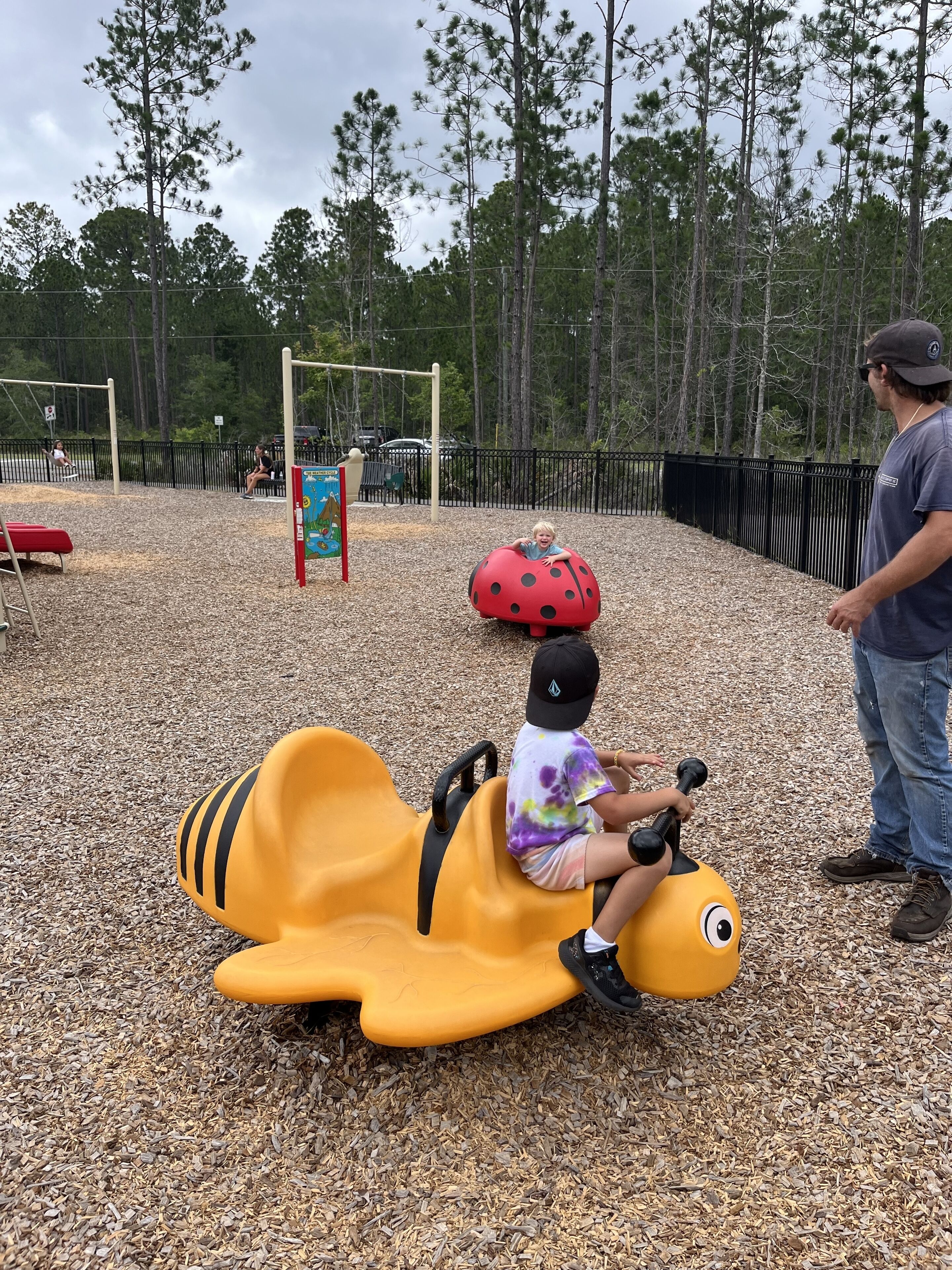 A playground with a slide shaped like a ladybug, surrounded by trees and a fenced area.