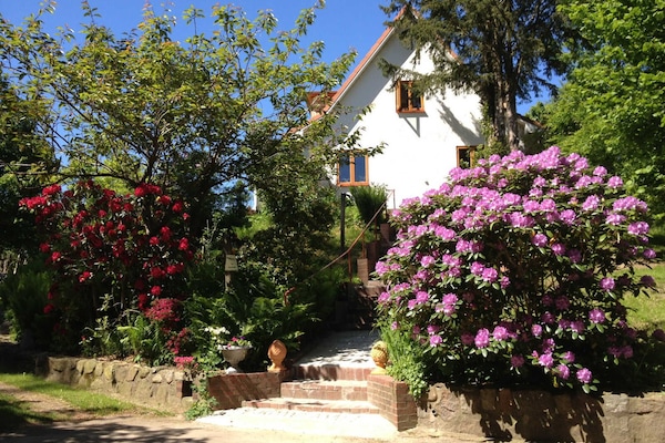 Overnatningsstedets område