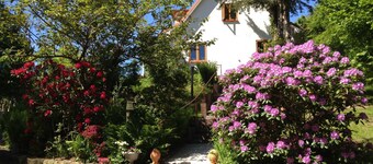 HALE ALOHA - Wood-burning stove paradise garden 7-person house. Nature park vacation with dog