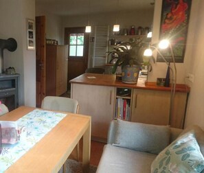 Fireplace, books, video library, stereo