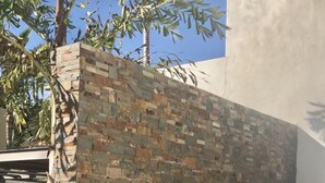 A staircase with a stone wall on one side and a palm tree in the background.