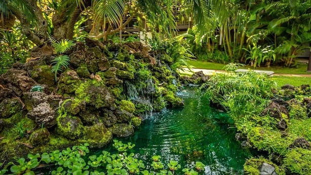 A lush garden with a small waterfall, dense foliage, and a clear pond with lily pads. - Tropical Kihei Resort, 3 Min Walk to Beach, A/C in All Rooms (Kihei)