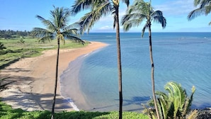 A beach with palm trees and a clear view of the ocean. - Tropical Kihei Resort, 3 Min Walk to Beach, A/C in All Rooms (Kihei)