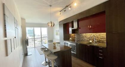 Stunning Condo Across CN Tower, Union with Free Parking