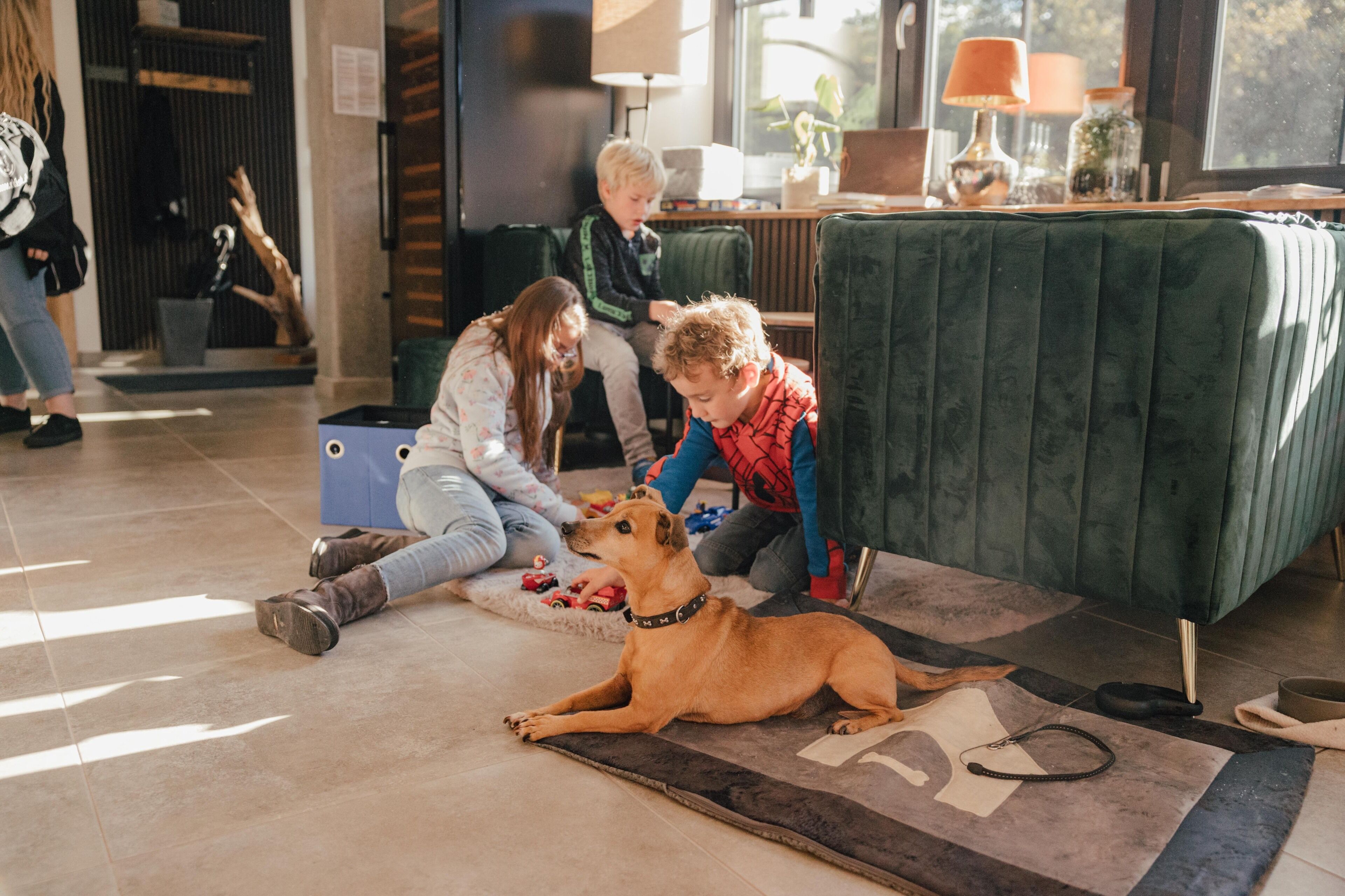 A living room with a green sofa, a dog lying on a rug, and two people interacting with the dog.