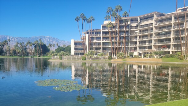 Un hotel de varios pisos, con piscina, patos y lirios acuáticos, y palmeras.