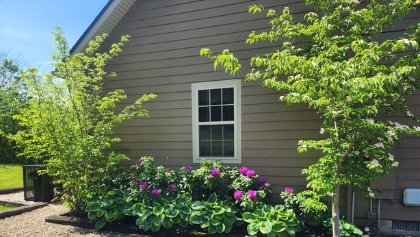 Una casa con una ventana, rodeada de un jardín con plantas verdes y flores rosas.