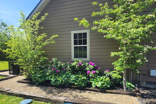 A house with a window, surrounded by a garden with green plants and pink flowers.