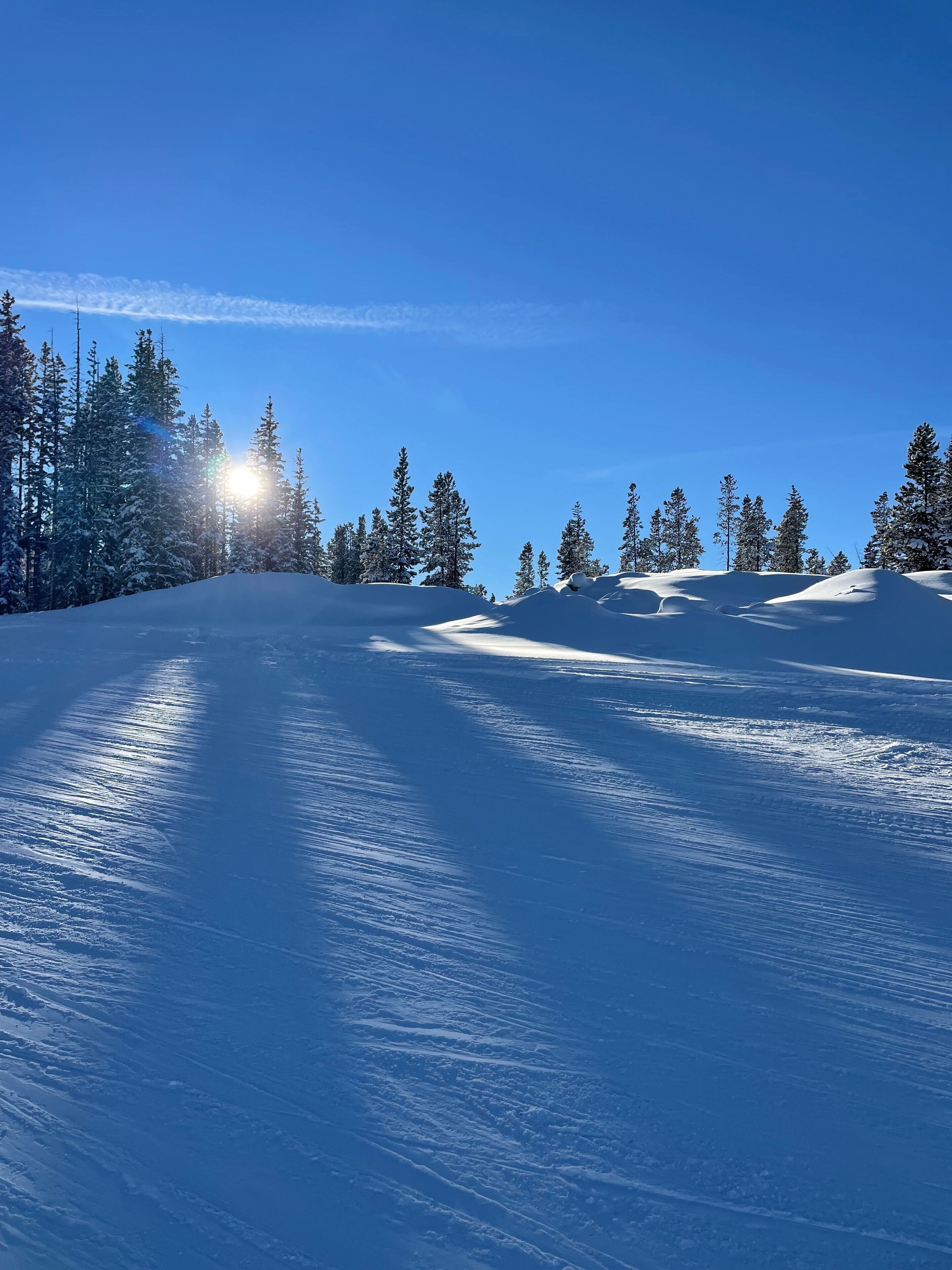 Ett snötäckt landskap med en klar himmel och solljus som reflekteras i snön.