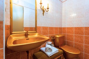 Shower - luxury studio 4 (Hlavní mesto Praha)