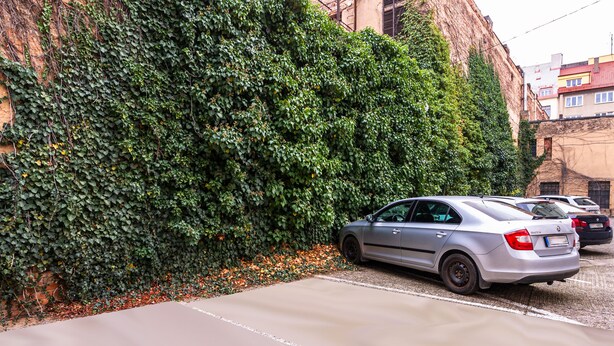 Un’area di parcheggio accanto a un edificio con un muro ricoperto d'edera.