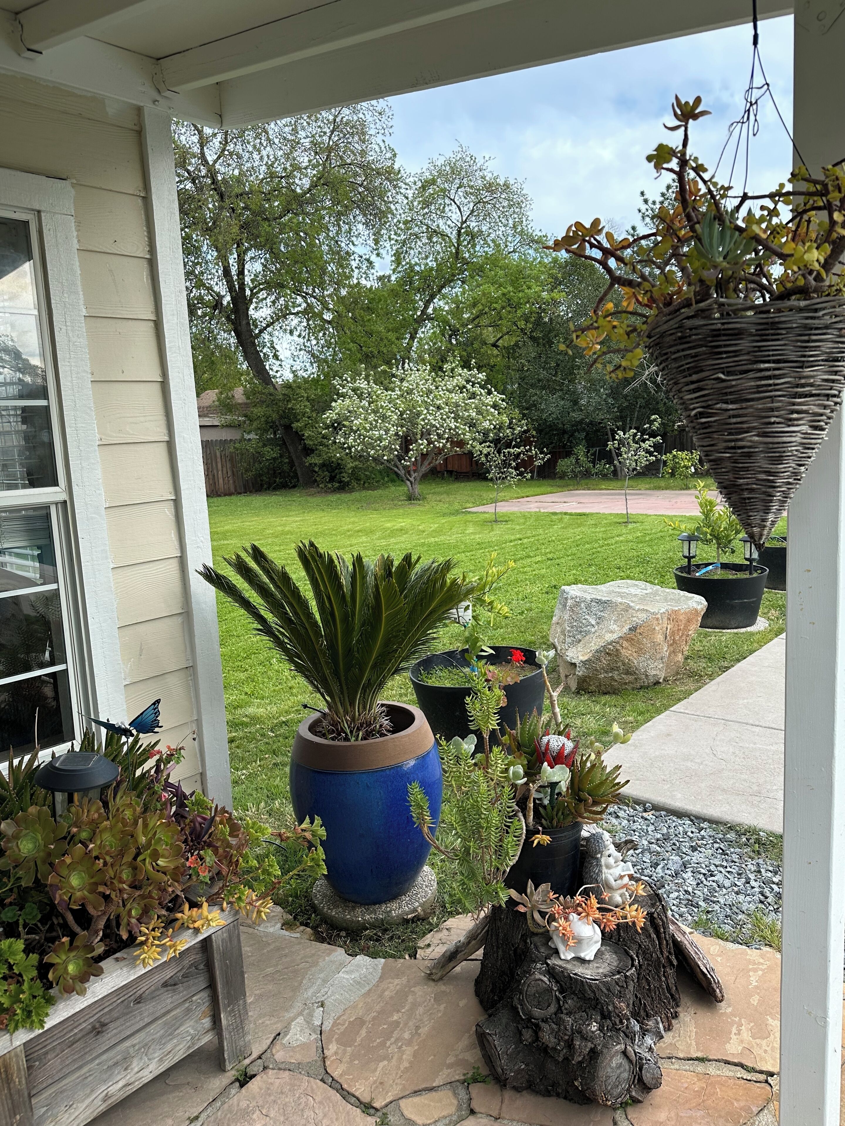 Àrea exterior de l'allotjament