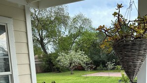 A front porch with a variety of potted plants, a bird feeder, and a decorative squirrel statue.