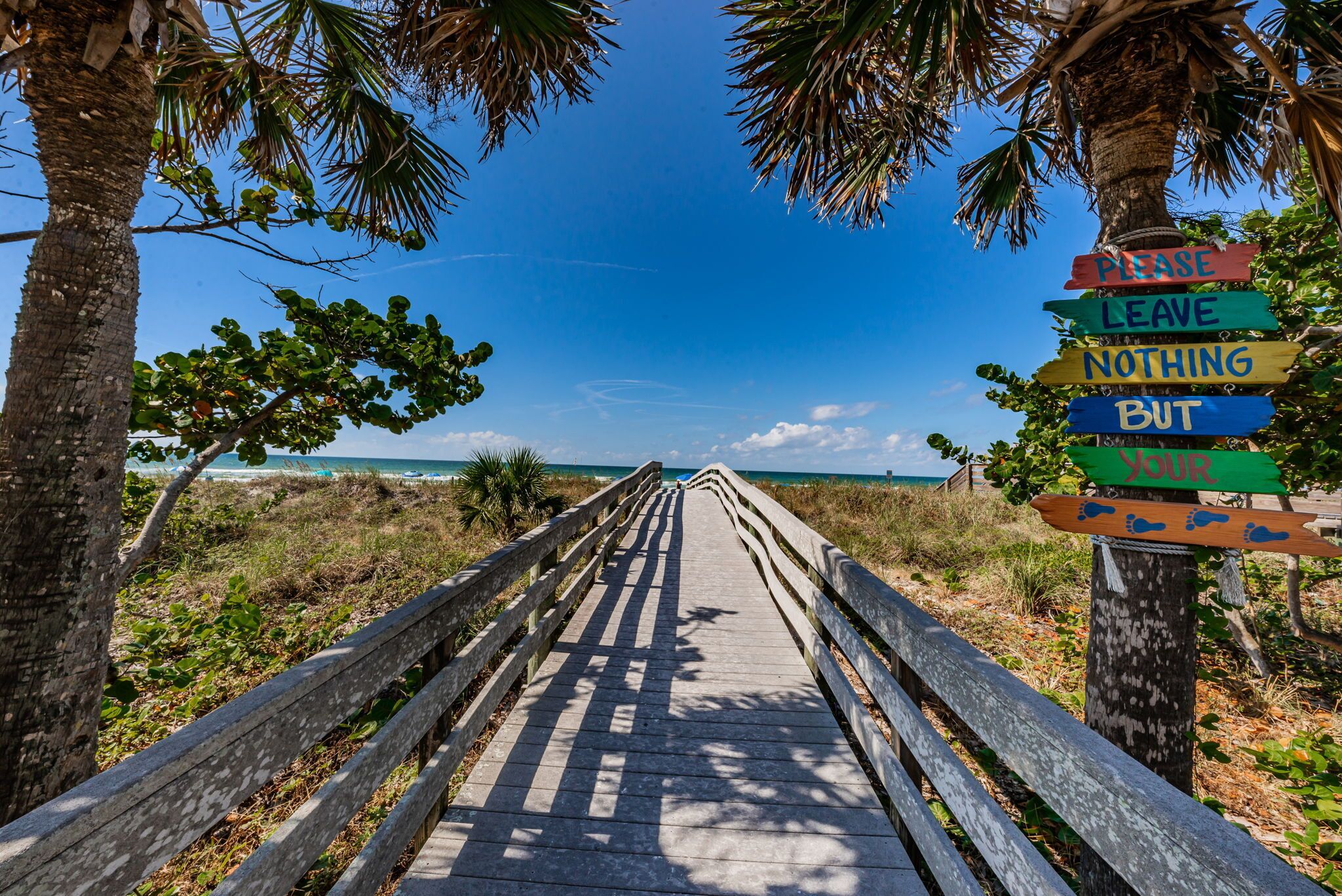 Une promenade en bois menant à une plage bordée de palmiers, sous un ciel bleu et dégagé.