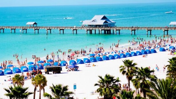 A beach with a pier, beach umbrellas, and palm trees.