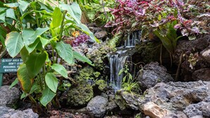 Un jardin agrémenté d’une petite cascade, d’une végétation luxuriante et d’un panneau indiquant qu’il est interdit d’y laisser des effets personnels.
