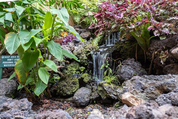 Un jardín con una pequeña cascada, abundante vegetación y un cartel que advierte contra dejar objetos personales.