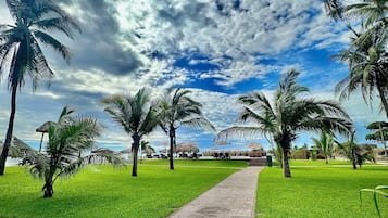 Ein Weg, der durch einen Park mit Palmen und blauem Himmel führt.
