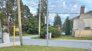 Un jardín residencial con un sendero pavimentado, un pequeño estanque y diversas plantas.
