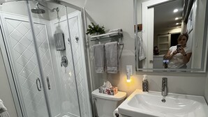 A modern bathroom with a glass-enclosed shower, a toilet, and a sink with a mirror above it.