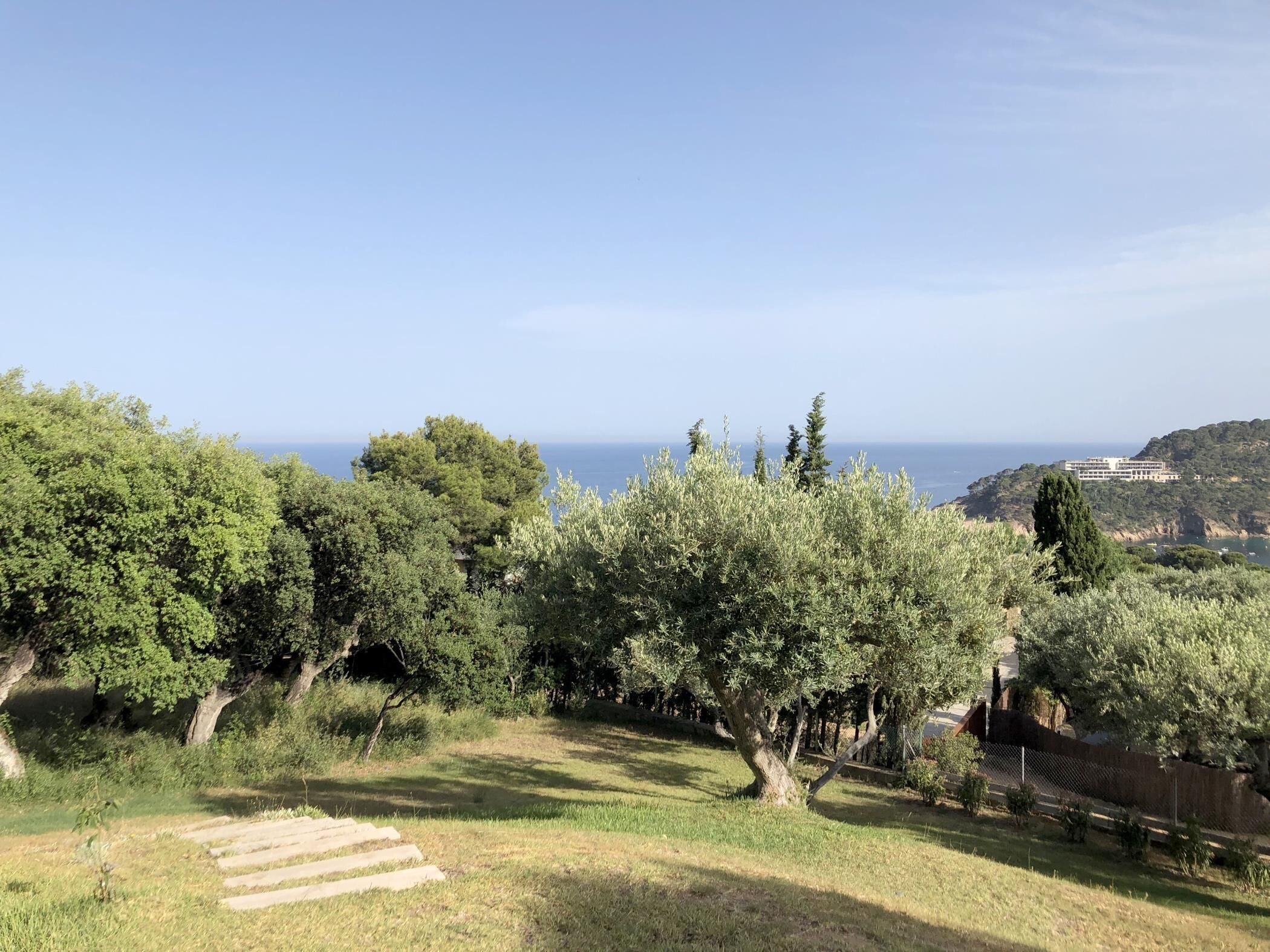 Área da propriedade