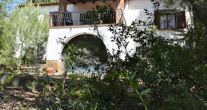 Casa Dynaida, Residencial Begur. Begur
