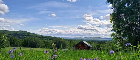 Àrea exterior de l'allotjament