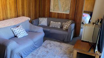 Smart-TV, Kamin, Bücher