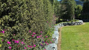 Un jardin agrémenté d’un mur de soutènement en pierre, de différentes plantes à fleurs et d’une pelouse.