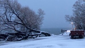 Un paysage enneigé avec des arbres sans feuilles et un camion garé au bord d’une route.