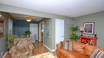 Smart TV, Netflix, streaming services