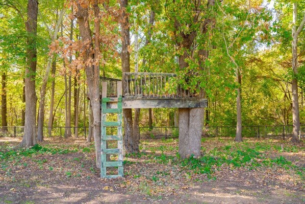 A wooden structure with a ladder, surrounded by trees in a forested area.