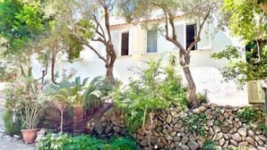 A white building with a tiled roof, surrounded by lush greenery and a stone wall. - Charming Villa, Ischia, Punta Caruso, Forio, n.3 (Forio)