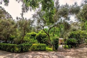 Property grounds - Charming Villa, Ischia, Punta Caruso, Forio, n.3 (Forio)