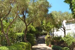 Property grounds - Charming Villa, Ischia, Punta Caruso, Forio, n.3 (Forio)