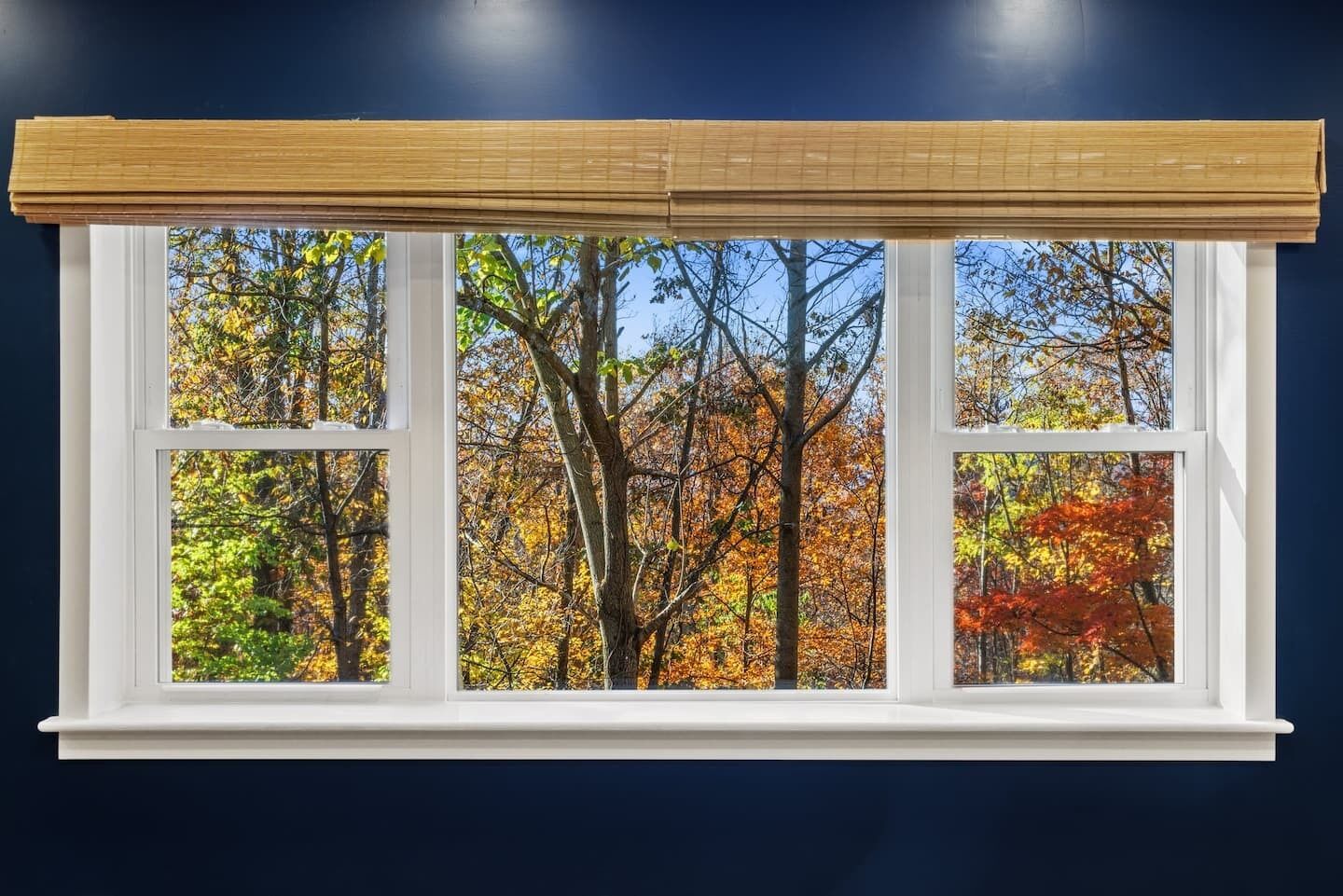 A window with a white frame and a bamboo blind, offering a view of autumn trees.